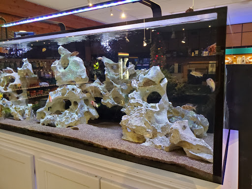 Aquarium Shop «Aquatics Unlimited / Aquatic Realmz», reviews and photos, 3550 S 108th St, Greenfield, WI 53228, USA