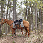 Photo n°2 de l'avis de Rainer.i fait le 23/04/2023 à 19:02 sur le  Wasgauhütte Schwanheim à Schwanheim