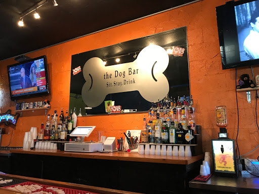 Dog Bar - Charlotte