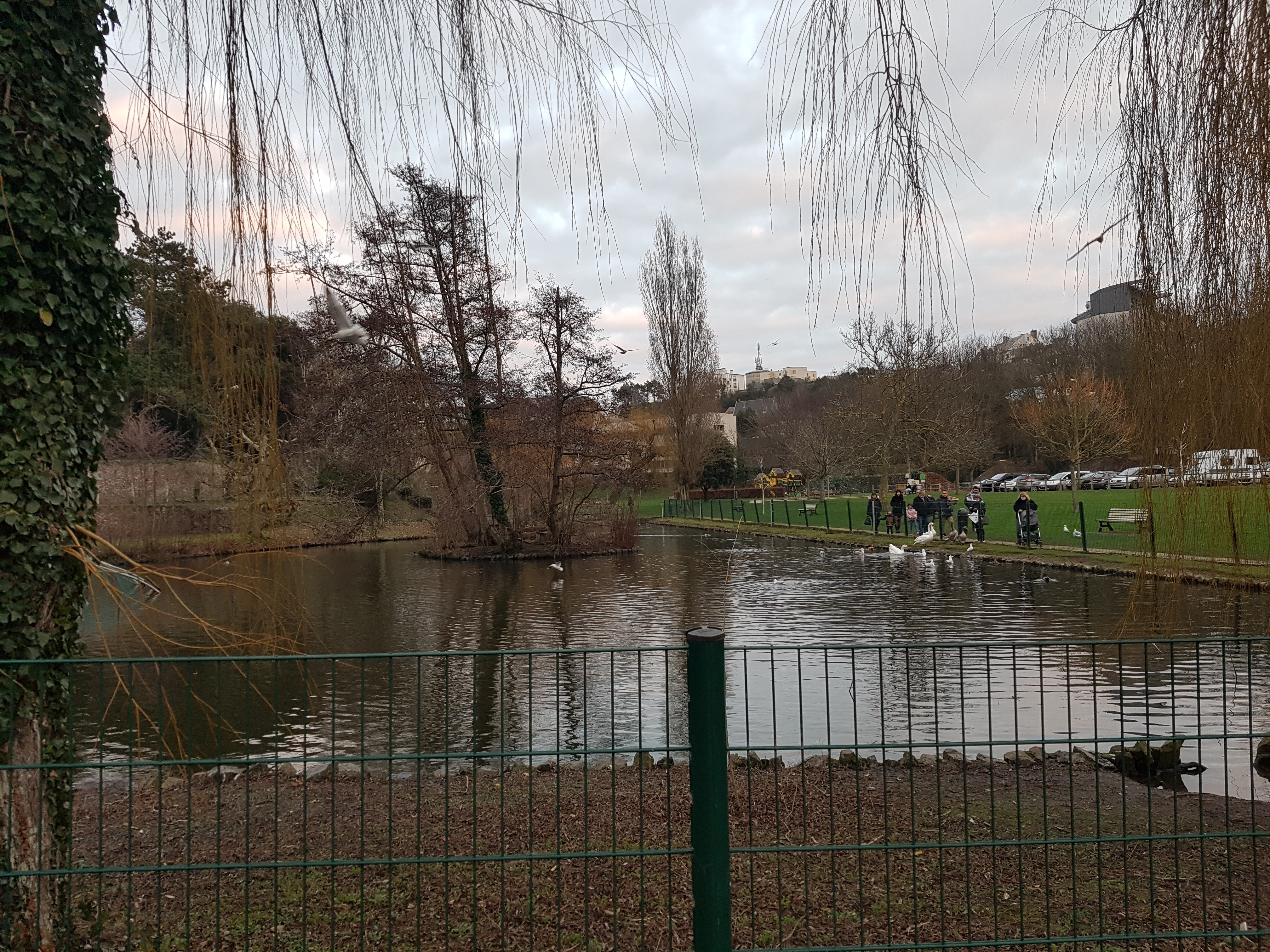 Photo n° 1 de l'avis de mélody.a fait le 30/12/2021 à 16:56