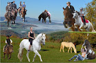 Poney Club de Cenves Cenves