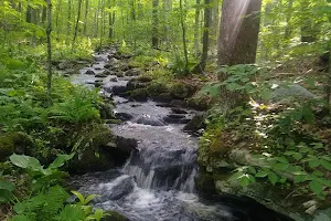 Schoolhouse Brook Park image