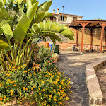 Photo n°11 de l'avis de Tuttitaly. fait le 23/05/2022 à 15:16 sur le  Hotel Jasmine à Teulada