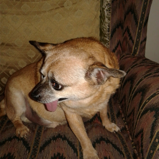 Park «Stringtown Park», reviews and photos, 7340 Burlington Pike, Florence, KY 41042, USA