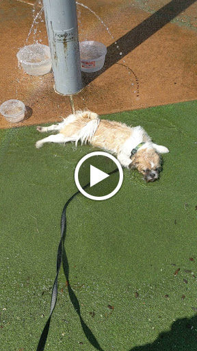 Park «Bushwick Inlet Park», reviews and photos, Kent Ave, Brooklyn, NY 11249, USA