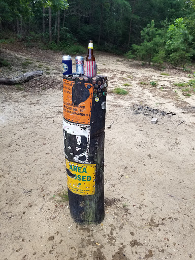 Nature Preserve «Maurice River Bluffs Preserve», reviews and photos, Silver Run Rd, Millville, NJ 08332, USA