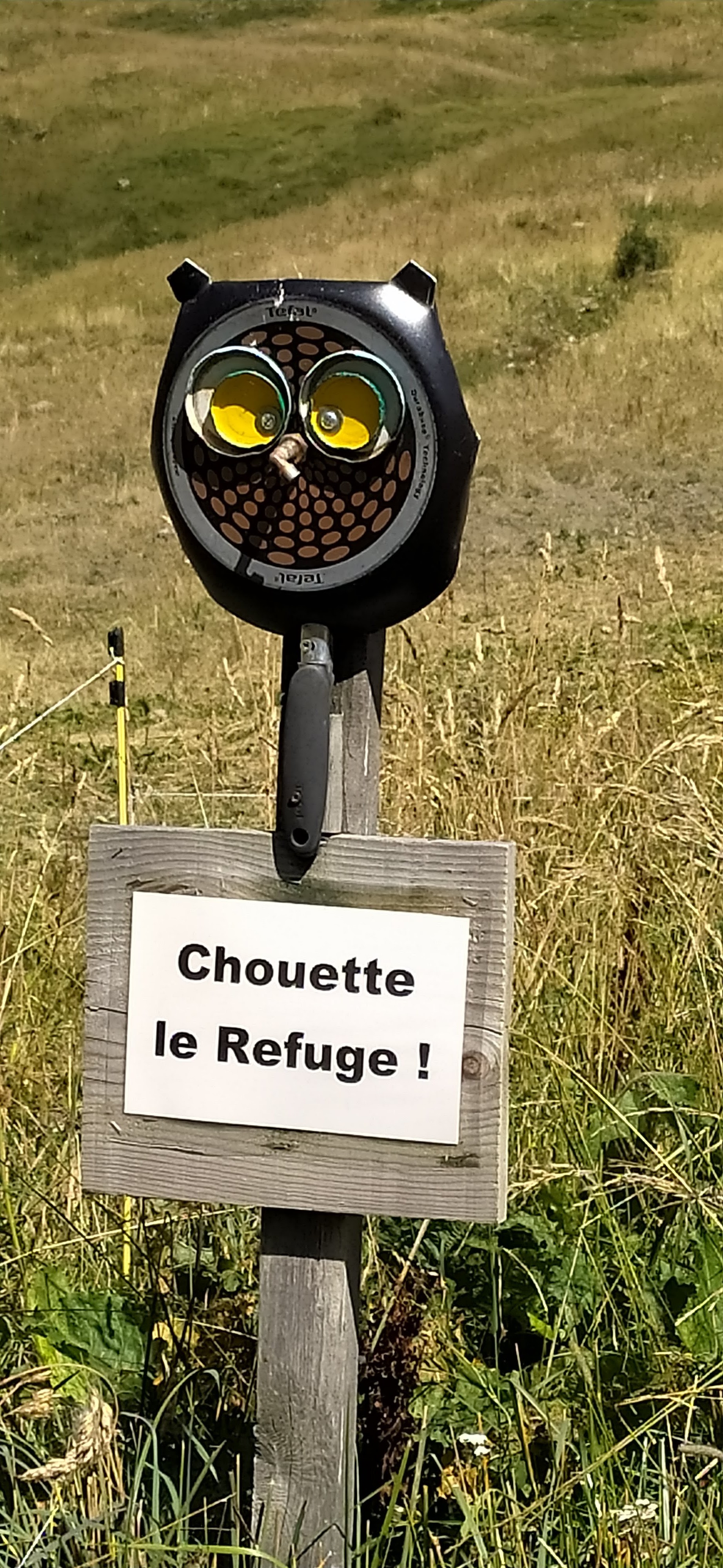 Photo n° 8 de l'avis de Michele. fait le 09/08/2023 à 21:15