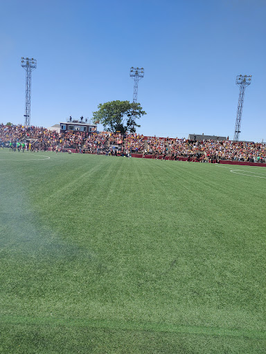 Stadium «Keyworth Stadium», reviews and photos, 3201 Roosevelt St, Hamtramck, MI 48212, USA