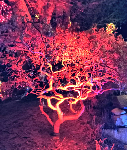 Heritage Museum «Heritage Museums & Gardens», reviews and photos, 67 Grove St, Sandwich, MA 02563, USA