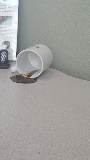 Toyota Dealer «Ira Toyota of Tewksbury», reviews and photos, 468 Main St, Tewksbury, MA 01876, USA