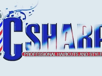 CSharp Professional Haircuts and Styles