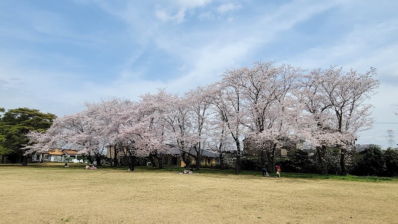 気象台記念公園