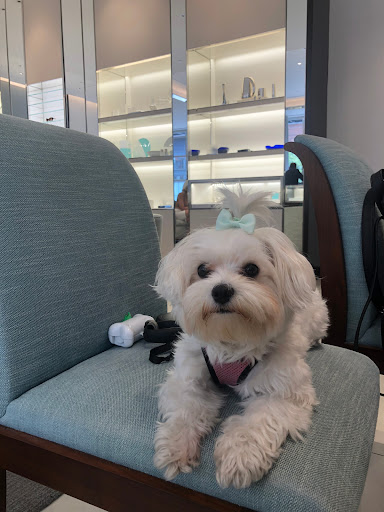 Jewelry Store «Tiffany & Co.», reviews and photos, 68 W Colorado Blvd, Pasadena, CA 91105, USA