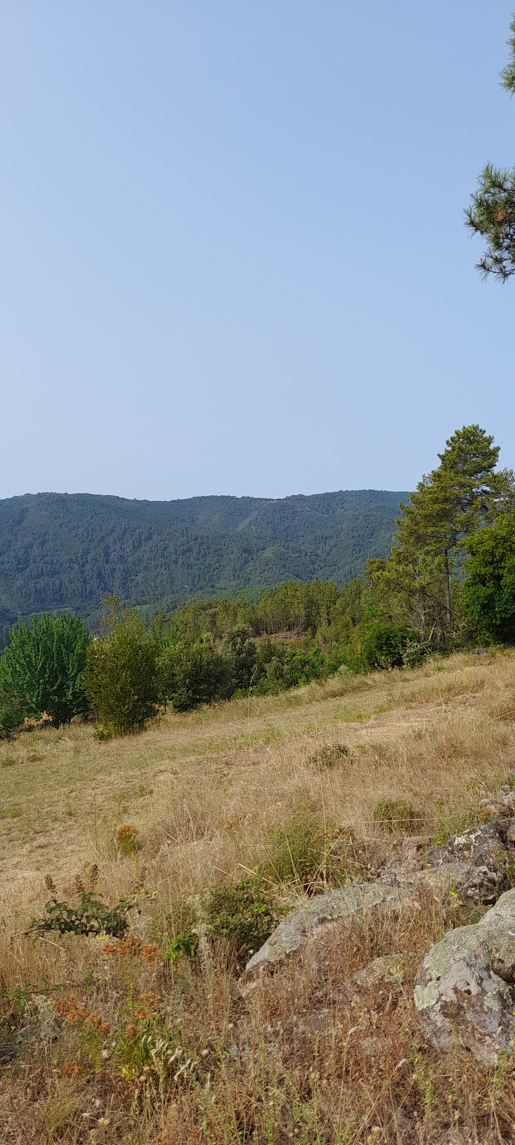 Photo n° 3 de l'avis de Jérôme.e fait le 27/07/2023 à 15:58