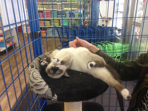 Pet Supply Store «Chow Hound Pet Supplies», reviews and photos, 7485 Cottonwood Dr, Jenison, MI 49428, USA