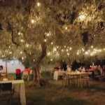 Photo n°1 de l'avis de Stella.i fait le 26/08/2022 à 14:05 sur le  Tenuta Fujanera à Foggia