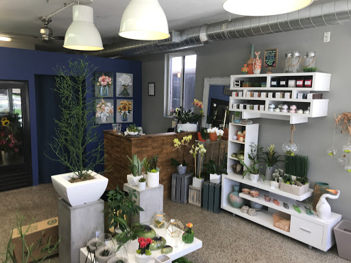Florist «La Fleur Florals and Events», reviews and photos, 2047 Wilton Dr, Wilton Manors, FL 33305, USA