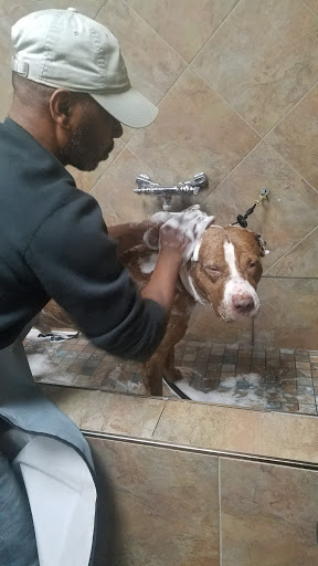 Pet Store «Pet Valu», reviews and photos, 49 East City Line Ave, Bala Cynwyd, PA 19004, USA