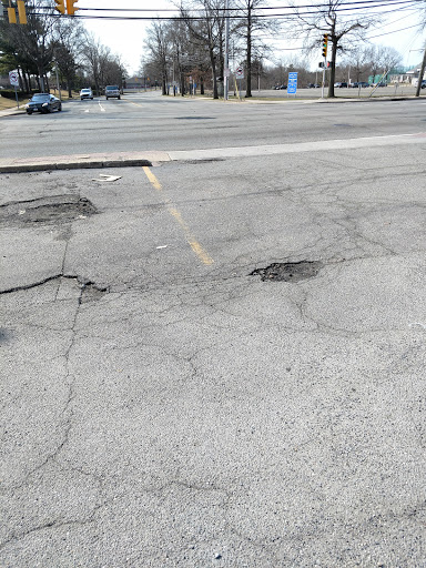 Pet Supply Store «Pet Supplies Plus», reviews and photos, 1137 Old Country Rd, Westbury, NY 11590, USA