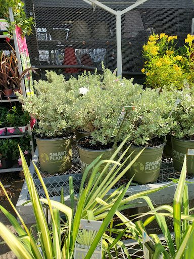 Home Improvement Store «The Home Depot», reviews and photos, 2201 Lakeview Pkwy, Rowlett, TX 75088, USA