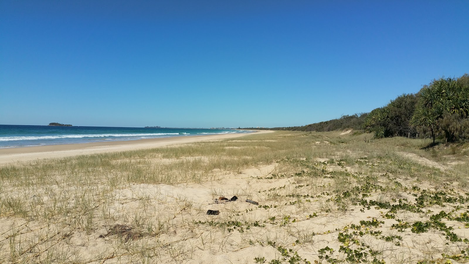 Foto de Marcoola Beach con recta y larga