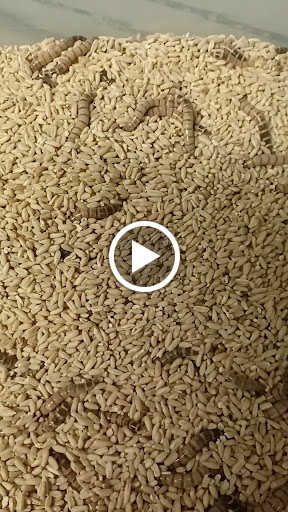 Pet Supply Store «E & M Pet Shop», reviews and photos, 5900 Whittier Blvd, Los Angeles, CA 90022, USA