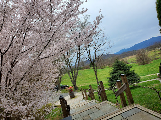 Winery «Little Washington Winery», reviews and photos, 72 Christmas Tree Ln, Washington, VA 22747, USA