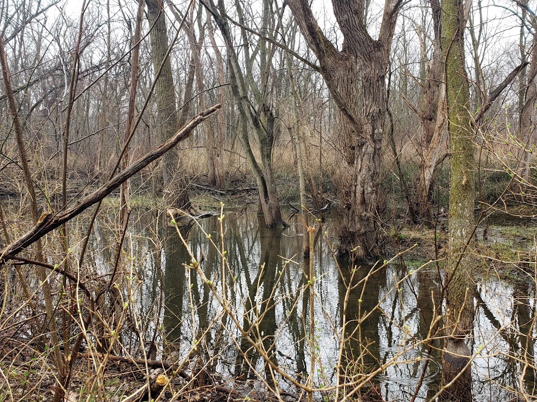 Lib Forest Preserve