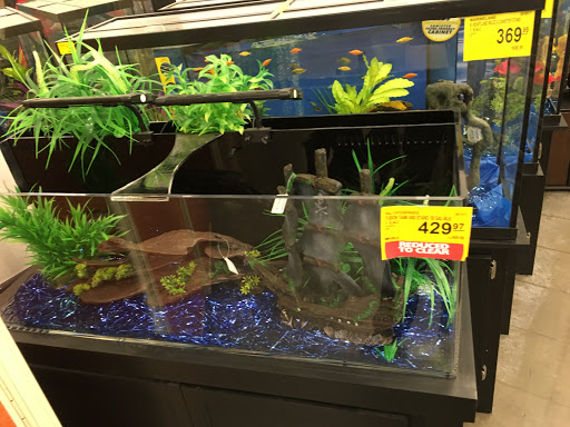 Pet Supply Store «PetSmart», reviews and photos, 13764 W Bell Rd, Surprise, AZ 85374, USA