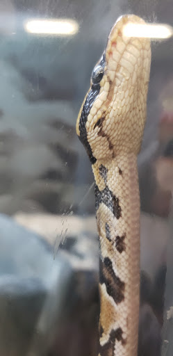 Pet Supply Store «Petco Animal Supplies», reviews and photos, 18200 NW Evergreen Pkwy, Beaverton, OR 97006, USA