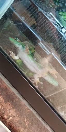 Pet Supply Store «PetSmart», reviews and photos, 4425 14th St W, Bradenton, FL 34207, USA