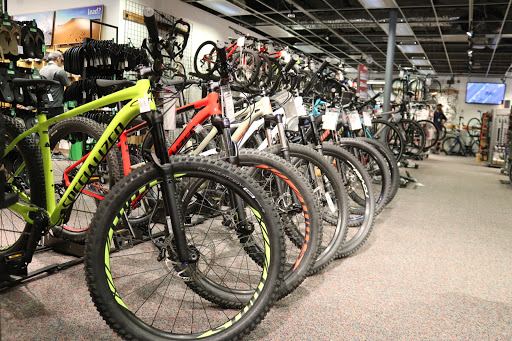 Outdoor Sports Store «Alpine Shop - Kirkwood, MO», reviews and photos, 440 N Kirkwood Rd, Kirkwood, MO 63122, USA