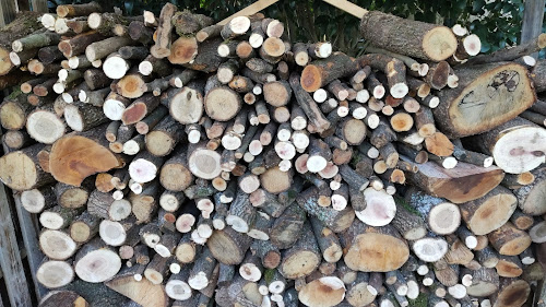 Magasin de bois de chauffage Exploitation forestière Marcel REVEL Carcassonne
