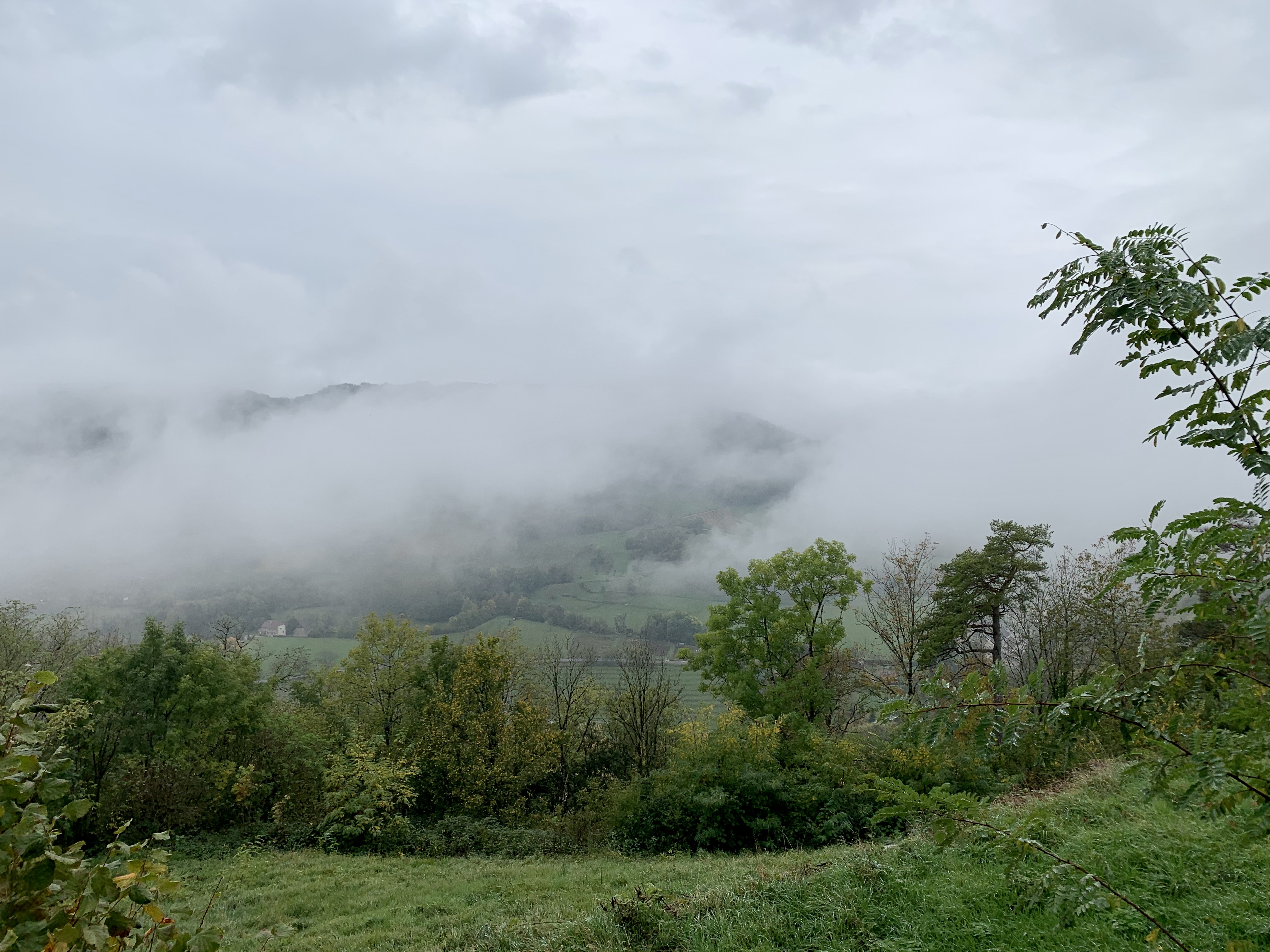 Photo n° 7 de l'avis de Edward. fait le 29/10/2019 à 06:38