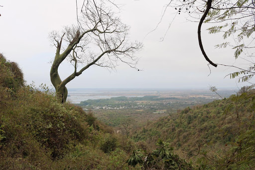 Bosque Protector Cerro Blanco