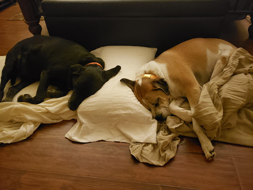 17524 US-431, Headland, AL 36345, USA