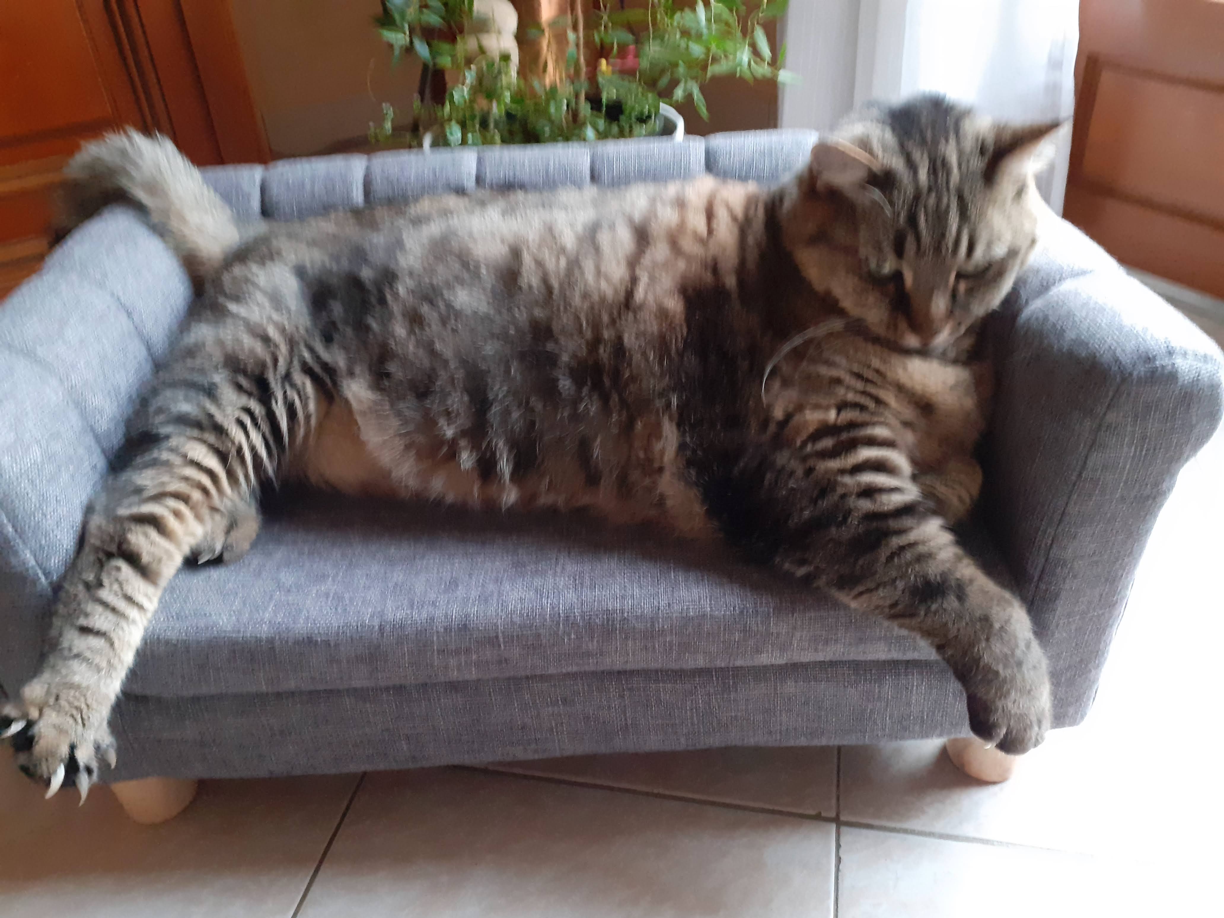 Photo n° 1 de l'avis de Gitton.a fait le 18/08/2023 à 12:59