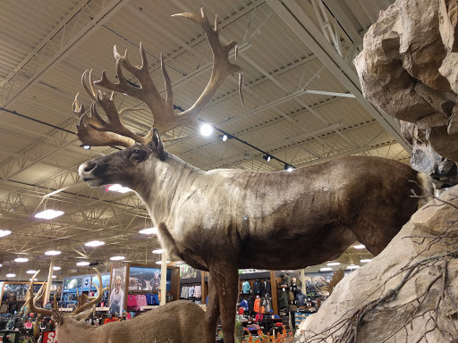 Outdoor Sports Store «Field & Stream», reviews and photos, 5215 Century Ave, Kalamazoo, MI 49006, USA