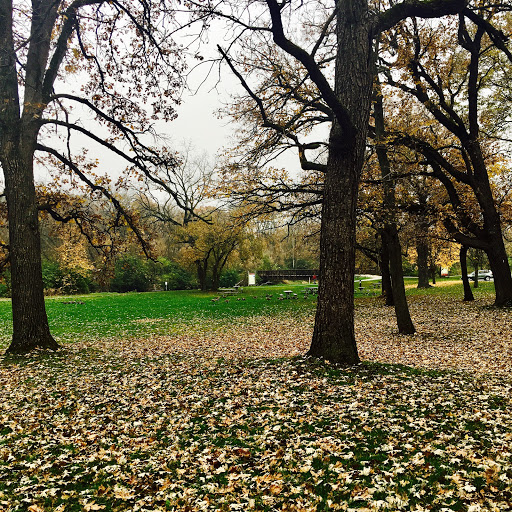 Nature Preserve «Bemis Woods», reviews and photos, 1100 Ogden Ave, Westchester, IL 60154, USA