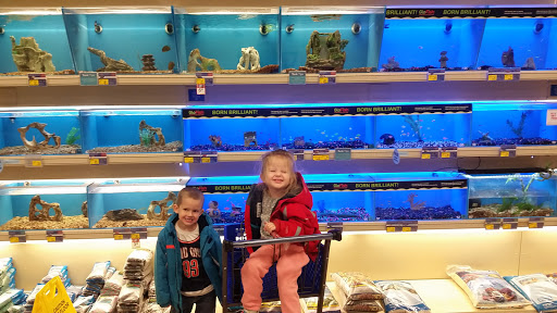 Pet Supply Store «PetSmart», reviews and photos, 4230 Pueblo Fwy, Pueblo, CO 81008, USA