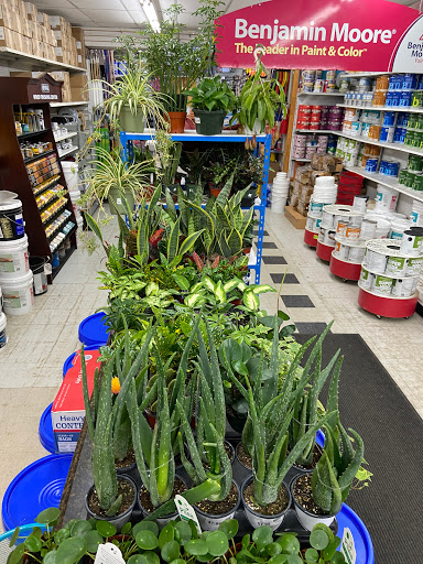 Hardware Store «Broadway Lumber Supplies», reviews and photos, 1146 Myrtle Ave, Brooklyn, NY 11206, USA