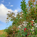 Photo n°6 de l'avis de Simona.e fait le 13/11/2021 à 14:59 sur le  A Casa Mia - Ristorante Privato à Molara