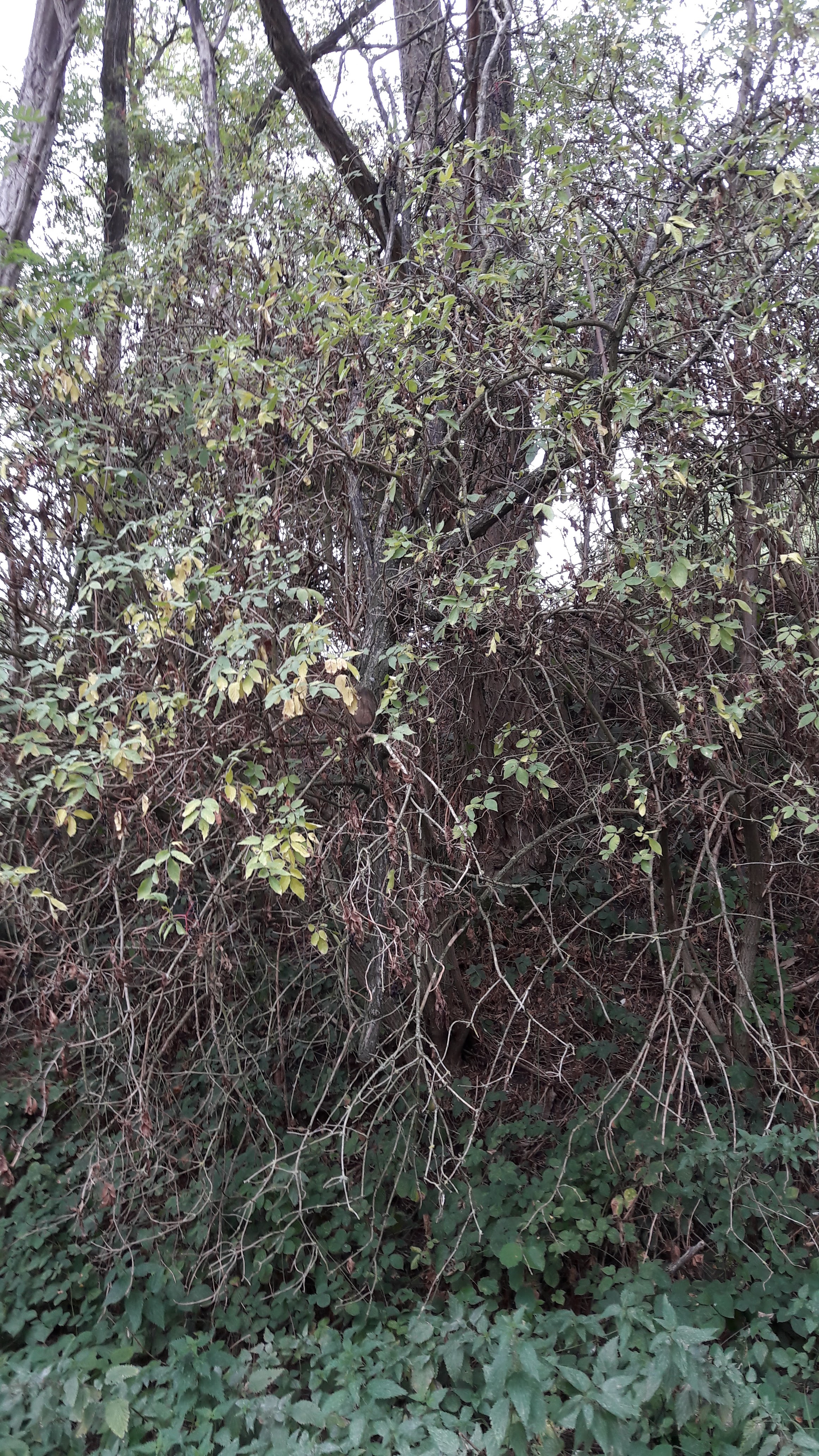 Photo n° 28 de l'avis de Alfa.l fait le 12/09/2019 à 04:09