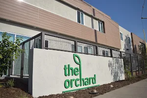 The Orchard Apartments image