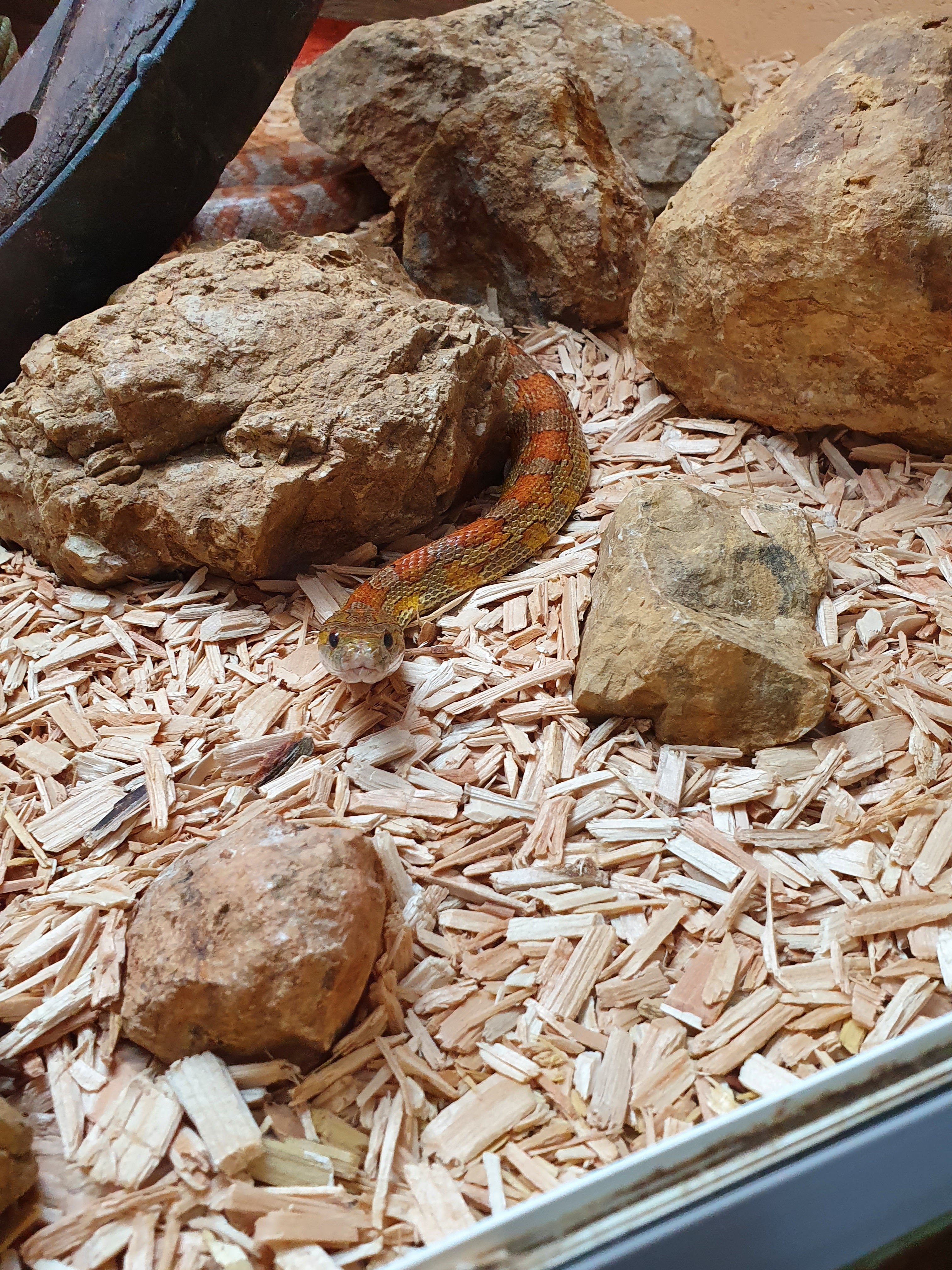 Photo n° 5 de l'avis de Laura.A fait le 01/01/2022 à 22:47