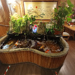 Photo n°7 de l'avis de Erik. fait le 22/12/2022 à 20:05 sur le  China-Restaurant Family à Neubrandenburg