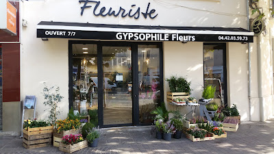 Gypsophile à Aubagne