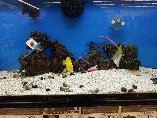 Pet Supply Store «Petco Animal Supplies», reviews and photos, 2140 E Blvd St, Kokomo, IN 46902, USA