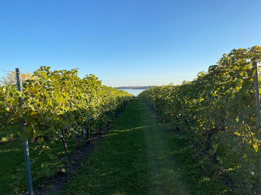 The Winery at Sovereign Estate