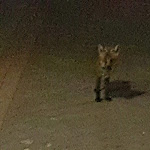 Photo n°2 de l'avis de Marcello.u fait le 15/09/2019 à 12:06 sur le  Hotel Villa Dorata à Ragalna